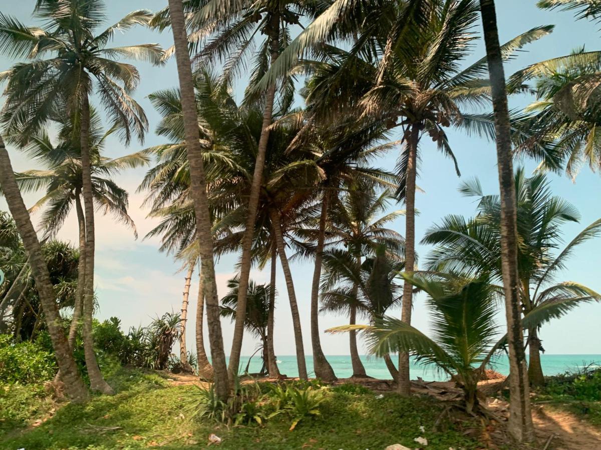 Tranquil Private Villa Near Bentota Beach Extérieur photo
