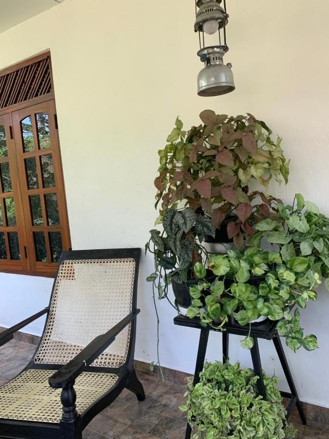 Tranquil Private Villa Near Bentota Beach Extérieur photo