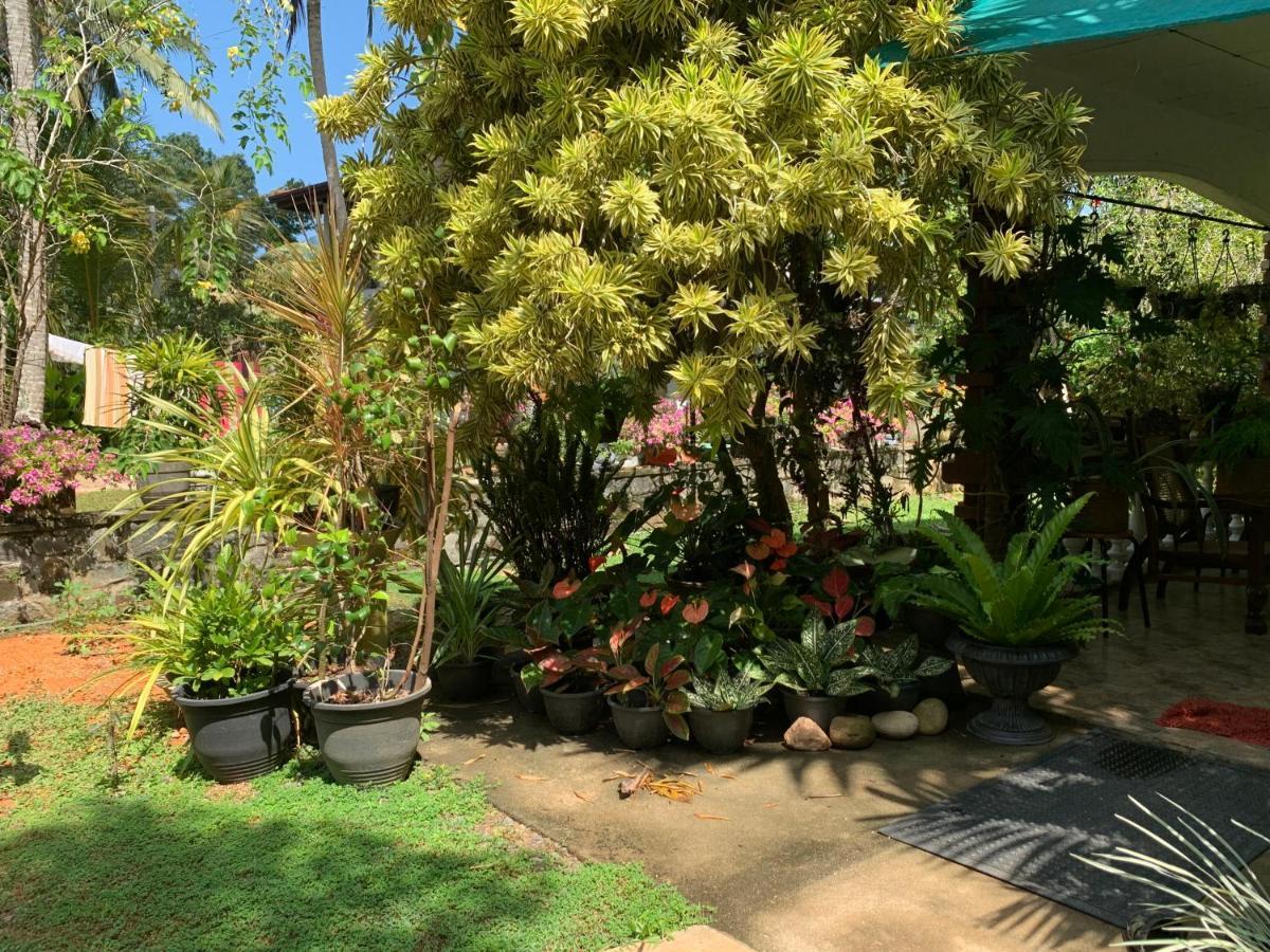 Tranquil Private Villa Near Bentota Beach Extérieur photo