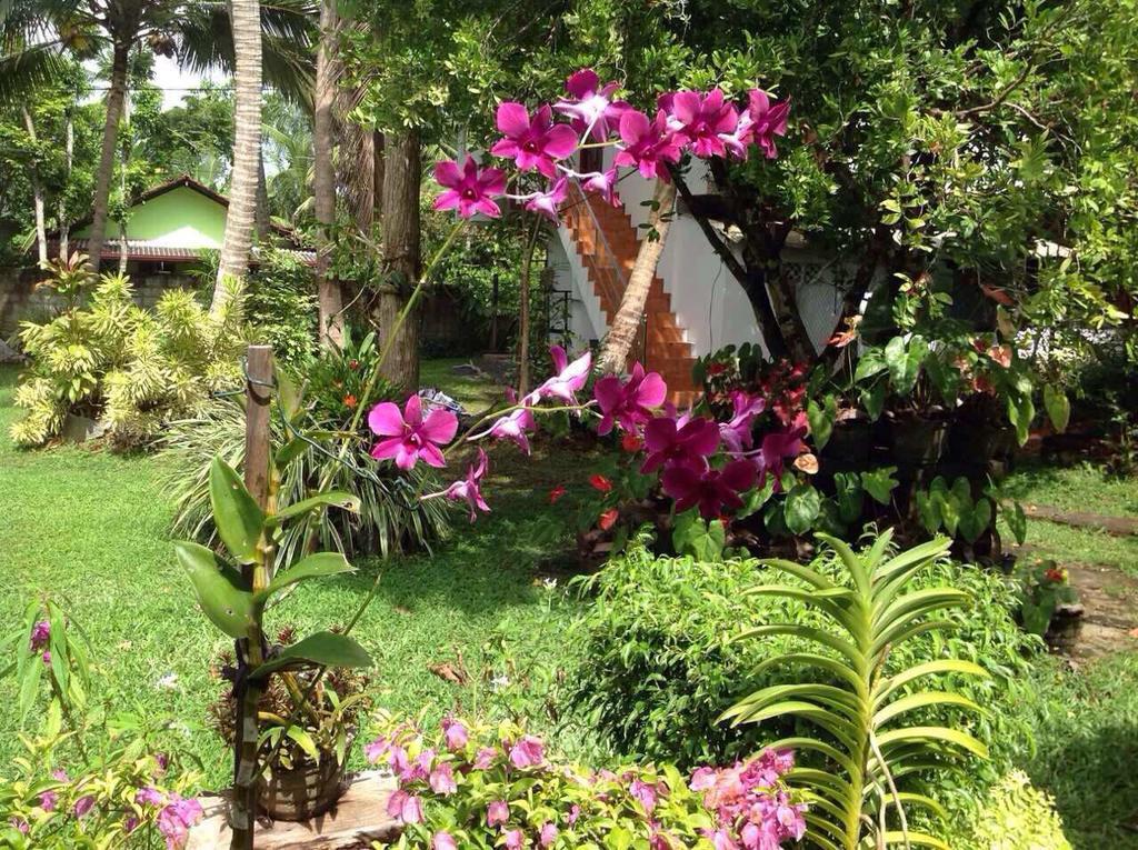 Tranquil Private Villa Near Bentota Beach Extérieur photo